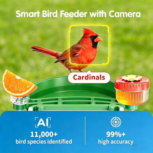 Bird Feeder with Camera, Upgraded Model, 4K UHD AI Bird Camera, Instant Arrival Alerts, Solar Powered, 5200mAh Rechargeable Battery, IP66 Waterproof Outdoor, Gift for Bird Lovers, Green - color: Green
