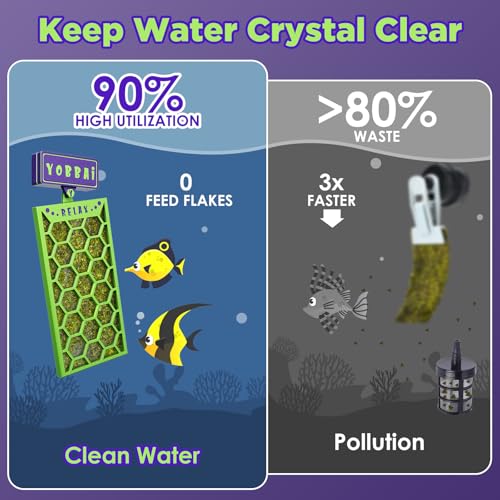 YOBBAI Magnetic Seaweed Feeder, Swinging Motion Nori Feeder, Seaweed Clip for Tangs Angels Freshwater and Shrimp Tanks (Green & Purple) - color: GREEN & PURPLE