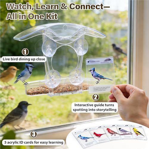 Window Bird Feeder with 5 Acrylic ID Cards - Clear Bird House for Outside with Removable Tray & Drain Holes - 4 Strong Suction Cups, Panoramic View for Wild Birds, Cat TV, Nature Gift