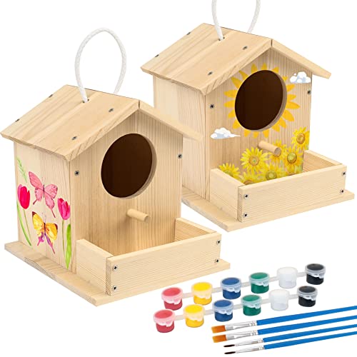LotFancy Bird House Kit, 2 Pack, DIY Wooden Birdhouse Kits, Arts and Crafts Painting Kit for Kids, Build and Paint, Including Paints & Brushes - style: Paint 2pcs Bird House