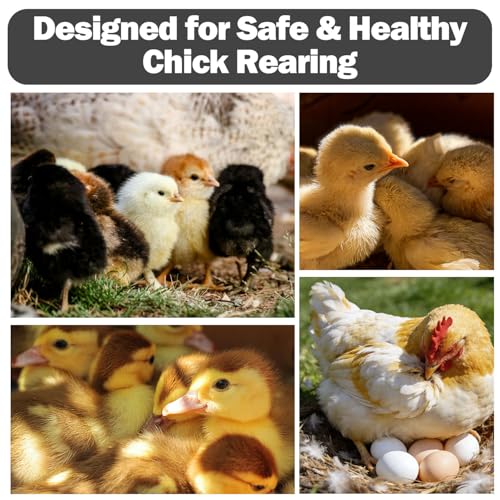 Brooder Box for Chicks, Starter Kit Pop-Up Chicken Brooder Playpen with Double Doors, Collapsible Chick Pen for Indoor Outdoor Use, Up to 20 Baby Chicks, Ducks & Quail