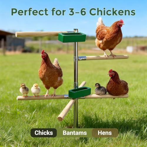 Chicken Perch Toys for Coop with 2 Trays(Feed or Water) | Chicken Roosting Bars for Chickens in Coop, Adjustable Chicken Roost Perch for Run with 3-Prong Metal Ground Plug - size: H=61.2inch with 2 Trays