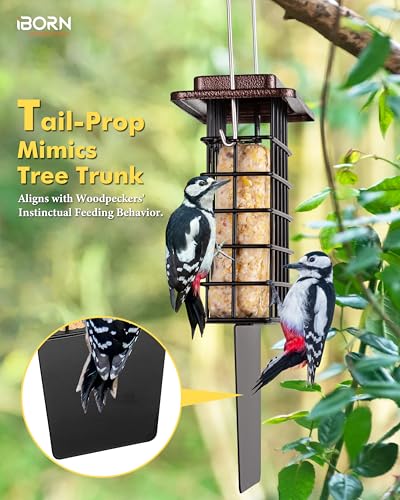 iBorn Suet Feeder with Tail Prop,Woodpecker Feeder,Suet Feeders for Outside Hanging,Suet Bird Feeders for Outdoors,Heavy-Duty Suet Cage,Suet Holder,Rainproof Roof,Easy Clean and Refill,1 Pack,Coffee - color: Coffee, size: Single Capacity