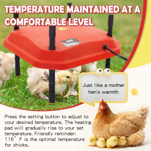 Chick Brooder Heating Plate Adjustable Height and Angle Plate Temperature Display for up to 20 Chicks 50W Chicken Coop Accessories Poultry Heating for Small Chicks,Ducks,Quails