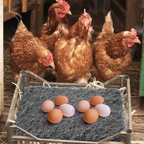 Zhengmy 12 Pcs Chickens Nesting Pads Set Nest Box Bedding Washable Nesting Pads for Chicken Coop, Artificial Grass Rug Carpet Synthetic Turf Mat, 12 x 12 x 1.2 Inches (Gray) - color: Gray