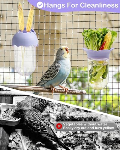 2Pcs Bird Cage Vegetable Feeder, Hanging Veggie Holder with Hydration Feature to Maintain Freshness, Easy-Clean Clip Feeder for Parakeet, Parrot, Lovebird, Budgie(Purple) - color: Purple