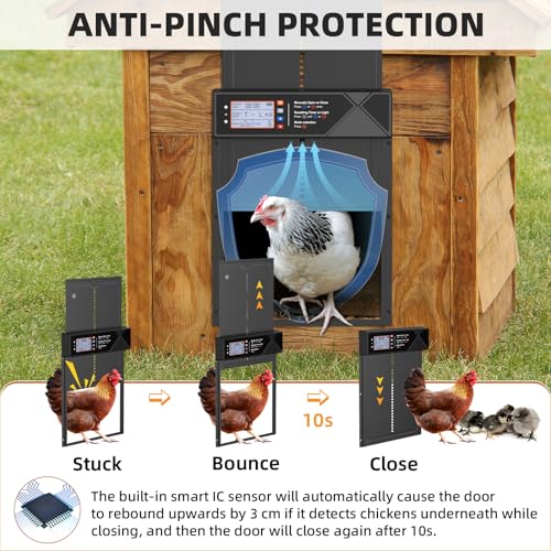 Automatic Chicken Coop Door Solar Powered with 4 Modes and Anti-Pinch | LCD screen electric chicken coop door with Timer & Light Sensor, Aluminum Alloy Chicken Door with Anti-Pinch, Remote Control