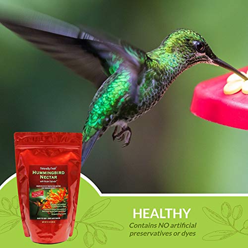 Naturally Fresh Hummingbird Nectar Powder with Nectar Defender | Bird-safe, Dye-free, Just add water, No artificial preservatives, Makes 96 oz, Nectar lasts up to 2 weeks, Made in USA