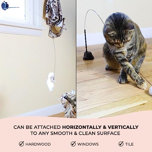 Whiskertons Interactive Bird Simulation Cat Toy Set, Interactive Cat Toys for Indoor Cats, Cat Feather Toy, Self-Holding Suction Base, 5 Replacement Birds, Feathers & Bells, Realistic Bird Impression