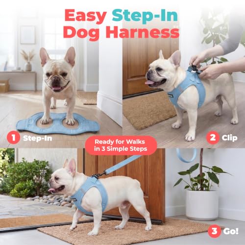 Voyager Step-in Air Dog Vest Harness - Baby Blue, X-Small | 13 - 14.5" in Chest, Reflective Bands, All Weather Breathable Air Mesh, Cats Compatible, Lightweight, Fast Drying - color: Harness (Baby Blue), size: XS (Chest: 13 - 14.5")