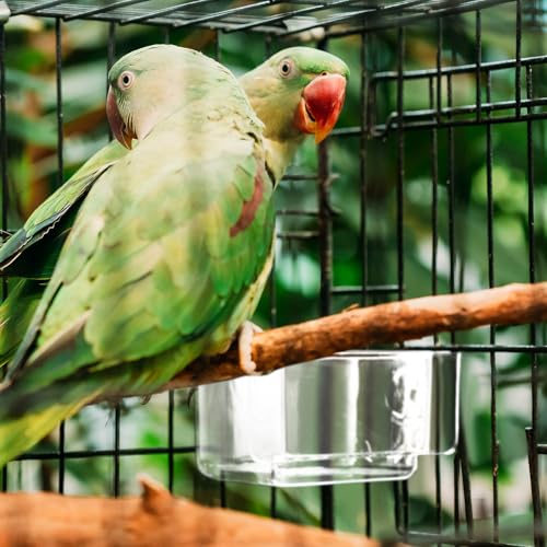 LemonRoad 4 Pcs Clear Bird Cage Feeder Bird Food Water Bowls Dish for Cage Feeding Drinking Seed Container Feeder Cup Plastic Birdcage Tray Replacement Thick Food Trough Box Supply for Parrot Pigeon