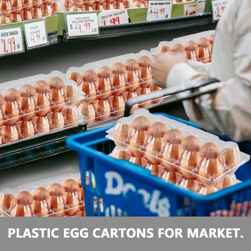 60PCS Egg Cartons 12 Count Clear Egg Cartons Cheap Bulk for Large Eggs | 1 Dozen Blank Chicken Egg Tray Holders for Family, Chicken Farm, Business Market Display - size: 60Pack-2x6 Grids