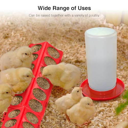 Chick Feeder and Waterer Kit - Baby Chicken Supplies with Chicks Perch, Plastic Feeder Trough and 1.2L Waterer, Chicken Starter Kit for Coop and Brooder for Small Poultry Ducks Quail - color: Red 1