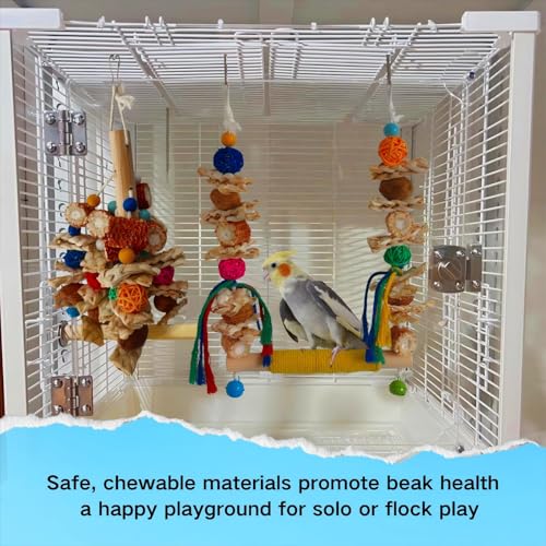 Bird Swings Toys for Parakeets Parrot,Bird Cage Hanging Chew Toys | Bird Cage Hanging, Chew Toys