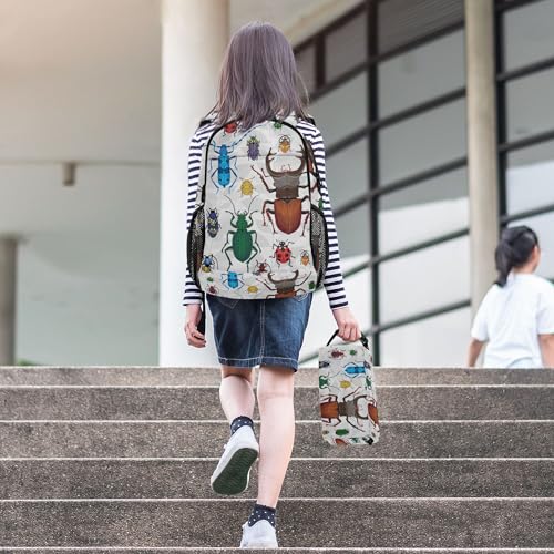 Bugs Small Beetles Insect Backpack with Lunch Bag, School Backpack for Teens Boys Girls Kids Backpacks Set - color: Grey and White