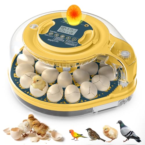 Egg Incubator, 26 Chicken/59 Quail Eggs Incubators for Hatching Eggs with Temp & Humidity Control, Auto Egg Turner, Adjustable Hatch Day & Air Vent, Egg Candler, Auto Water Refill, 360° Clear View - size: 26 Eggs