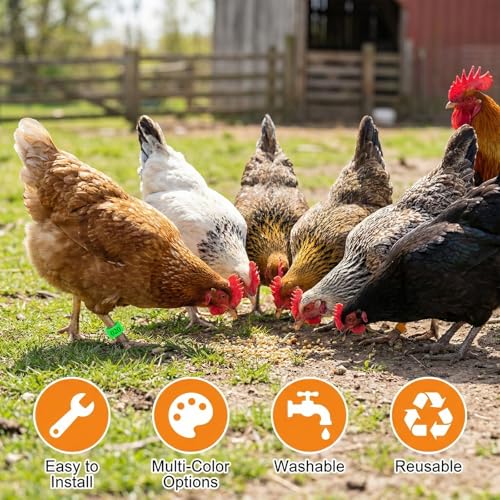 80 Pcs 16mm Chicken Leg Bands 8 Colors Chicken Bands 01-80 Numbered Chick Identification Tags Poultry Foot Tags for Duck Bantam Guinea Goose Gamefowl Rooster