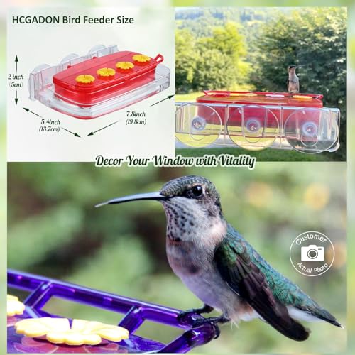 2 Pack Window Hummingbird Feeder with Strong Suction Cup, Plastic Hummingbird Feeders for Outdoors, Built-in Moat,Easy to Clean and Refil (10oz) (2, Purple) - color: Purple, size: 2 Pack