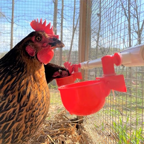 8 Pack Automatic Chicken Waterer Cups with 1/2" PVC Tee Fittings Chicken Water Cups, Chicken Water Feeder, for Chicks, Duck, Goose, Turkey. Poultry Waterer Feeder Kit - size: 8