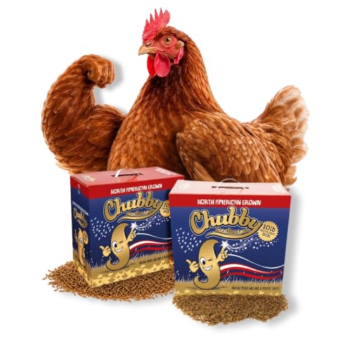 Chubby North American Grown Dried Mealworms, 20 lbs | Non-GMO High-Protein Treats for Chickens, Ducks & Wild Birds – Sustainable Chicken Feed - size: 20 Pound (Pack of 2)