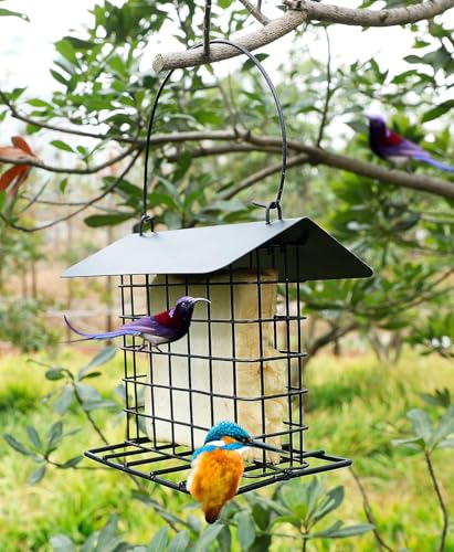Durable Roof Top Bird Parrot Suet Reusable Feeder Stand for Outside Garden Yard Patio Hanging Metal Suet Cake Holder Squirrel Proof Weatherproof for Wild Hummingbird Woodpecker - style: With Roof Top