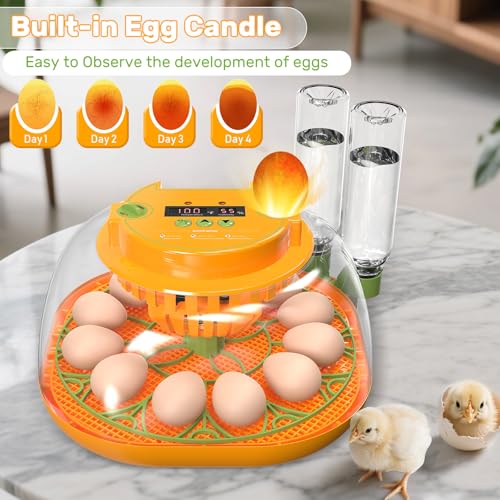 Incubators for Hatching Eggs, 12 Egg Incubator with Automatic Egg Turning and Humidity Control, Egg Candler, Auto Water Replenishment, Air Vent, for Hatching Chicken Duck Quail Goose Eggs