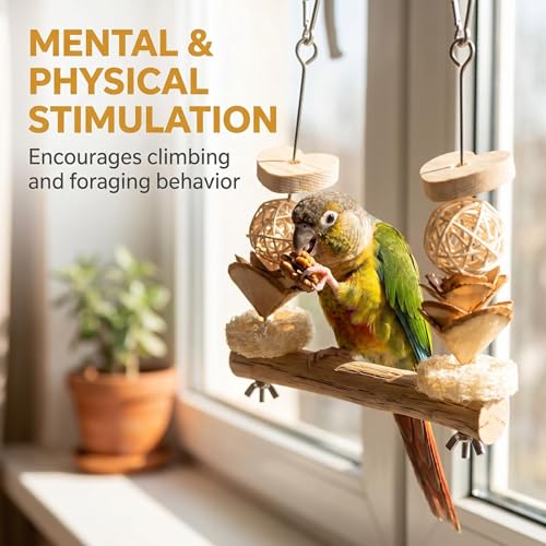 Bird Swing Perch with Chew Toys for Small Parrots, Cage Accessory | Natural Pear Wood 2PCS Bird Cage Set with Perch, Hanging Swing & Chew Toys for Conures, Cockatiels & Small Parrots
