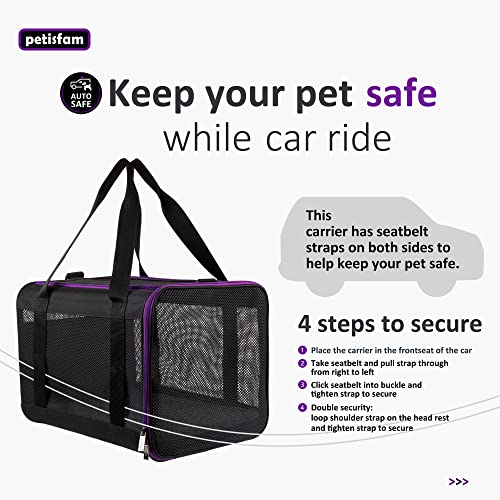 Soft Pet Carrier for Large and Medium Cats, 2 Kitties, Small Dogs. Easy to Get Cat in, Great for Cats that Don't Like Carriers (Black) - color: Black