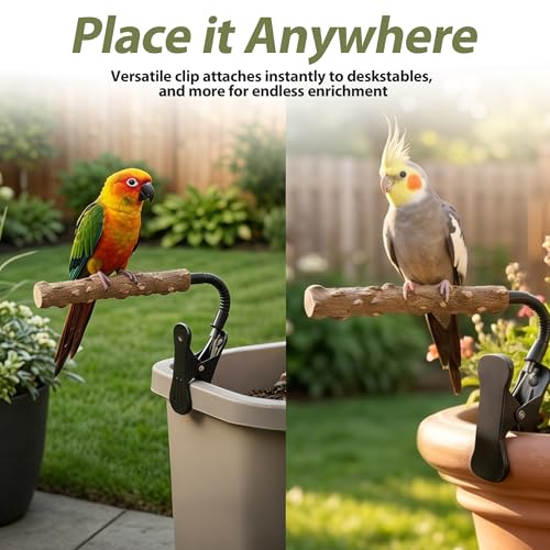 Bird Perch Stand with Clip, Adjustable Clip-On & Portable Parrot Stand, Natural Wood Bird Perch Training Stand for Cockatiels, Conures, Lovebirds and Medium & Small Parrots