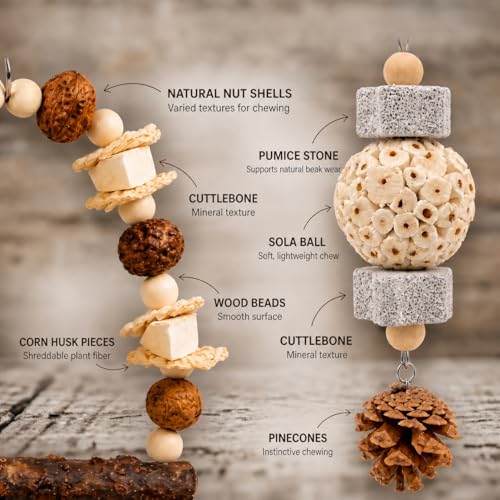 2 Pack Natural Bird Toys Set - Prickly Ash Wood Arch Swing with Walnuts & Cuttlebone - Sola Ball Shreddable Toy with Beak Grinding Pumice Stone, Cage Accessories for Cockatiel, Conure, Parakeets - color: Wood B(Sola Ball Set)