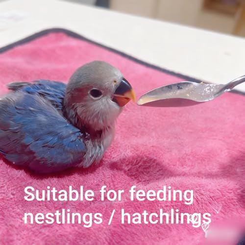 6 Pcs Stainless Steel Bird Feeding Spoon - Narrow Tip for Baby Birds Young Pet Birds, Parrot Milk Spoon Fit Finch Canary Cockatiel Hand Feeding,Spoons for Feeding Nestlings/Hatchlings