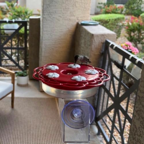Nature's Way Plastic Hummingbird Feeder for Outdoor Decor, Hanging Feeder and Window Feeder, 13 Ounce Capacity Nectar Feeder, 5 Easy to Clean Flexible Ports, Red