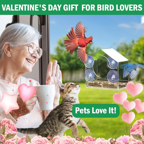 Window Bird Feeder with Strong Suction Cups - Slide-Out Tray | House shaped clear acrylic, 2.36" large suction cups, bird feeder for window viewing, relaxing cat TV gift for moms - color: Clear