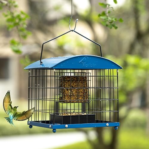 Caged Suet Bird Feeders Squirrel-Proof, Dual-Purpose Suet &Seed Wild Bird Feeders with Tray, Starling-Proof Metal Caged Bird Feeders Outdoors Hanging, 2 Suet Cakes+1lb Seed Capacity, Blue