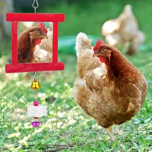 3 Packs Chicken Toys for Coop, Hen Chicken Coop Mirrors Bird Toy with Bells Hanging Parrot Grindstone Bird Beak Stones for Chicks Parrots Birds Hens - color: Red