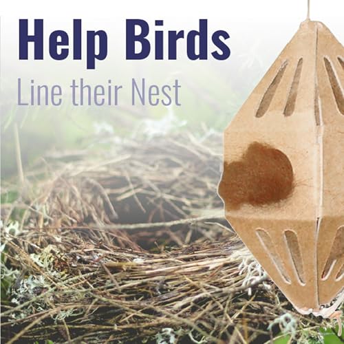 GreenBird Durable Nesting Material Holder with Natural Fibers