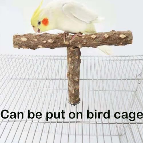 Natural Bird Perch Stand with Suction Cup for Window Mirror Car Shower Travel Bath Wood Perch Indoor Outdoor Wild Birds Small Medium Large Parrot Parakeet Cockatiel Concure Finch Lovebirds T Shape