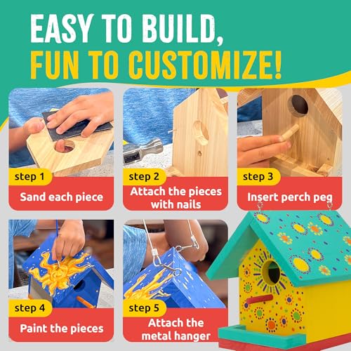 Jr Bird House Kit, DIY Cedar Wood Birdhouse for Outdoors with Paint | Fun for Kids & Adults, Bird House Making Kit for All Ages (1-Pack)