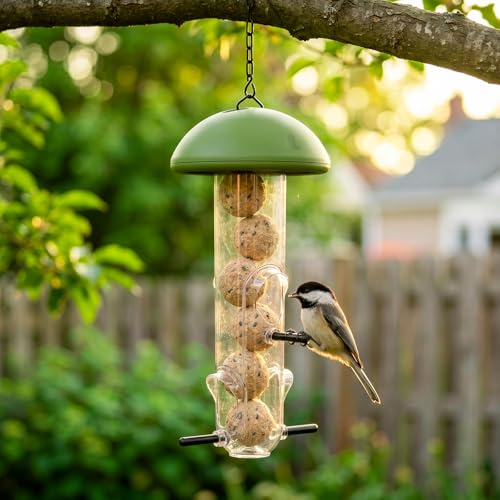 LONA Suet Ball Bird Feeder with 3 Ports, Unique Bird Feeder for Outdoors | Easy-refill, Weather Rust-Resistant Feeder for Attracting Birds, Tube Hanging Feeder for Garden/ Backyard, Green,1 Pack - style: Style3-Large Tube