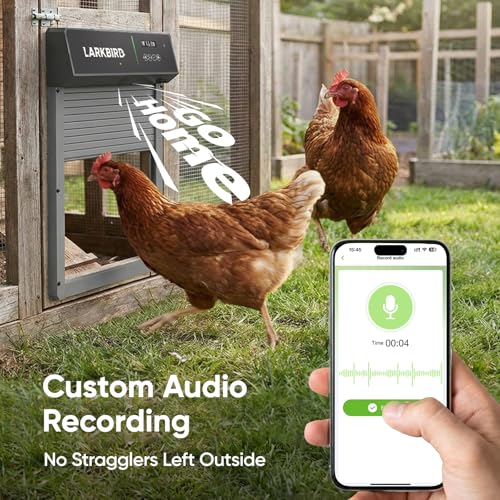 Larkbird Upgraded Automatic Chicken Coop Door, Solar/Battery Powered, Gray | Auto Chicken Door with Bluetooth App Control, Custom Audio Recording, Timer & Light Sensor, Anti-Pinch Design - color: Grey
