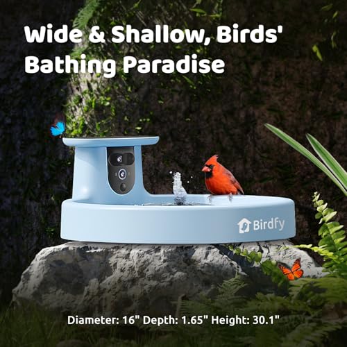Birdfy Smart Bird Bath with Camera, Solar Powered, Dual-Lens 2K AI Camera | Watch Birds Bathe & Drink in Stunning 2K with Dual-Lens Auto Tracking, Solar Power, Fountain and Lifetime AI Bird Recognition - style: AI Lifetime