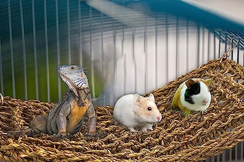 SIMENA Seagrass Mat for Birds, Natural Grass Woven Bird Net Hammock, Climbing Rope Ladder, Chew Toys for Parrots Lovebirds Cockatiels Conures Budgies, Cockatoos (Small)