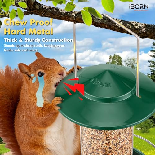 Bird feeders for Outdoors Metal Chew Resistant Green,1PK | Metal Roof, Metal Tray, Fixed Hanger, Flip-Top Fill, 3 Perches, Easy-Clean, 1.32lb - color: Green, 1.5LB, 3 Perches