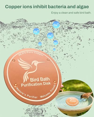 OICEME Bird Bath Purification Disc Pure Copper Backyard Outside Solar Power Wild Hummingbird Pedestal Fountain Cleaner Outside Feeder Cage Dispenser Heater Outdoor Railing Glass Concrete Gifts Rose - color: Copper 3PCS Bird&Rose&Bee
