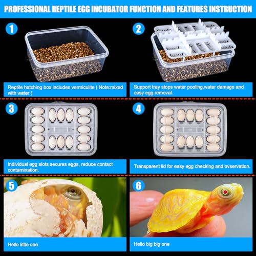 16 Grids Reptile Egg Incubator Box Turtle Lizard Gecko Snake Hatching Container Complete Kit with Tweezers Clip Vermiculite Spray Bottle