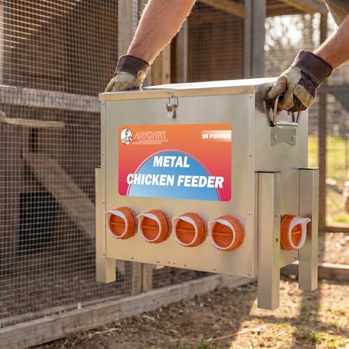 85 Pounds Automatic Chicken Feeder 6 Ports Large Gravity Fed Chicken Feeder with Adjustable Legs Perspective Window Latch & Handle for Chickens Bantams Pheasants - size: 6 Ports - 85-120 LBS