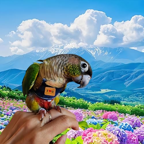 Bird Flight Harness Vest, Parrot Flight Suit with Leash Adjustable Bird Flying Clothes Outdoor Training Traction Rope for Parakeets Cockatiels Conures Budgies Cockatiel-Blue,L - color: Blue