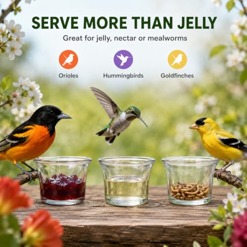 DECHOUS 9Pcs Glass Birds Feeder Replacement Cups, Oriole Jelly Feeder Cups | 2.5 Inch, Jelly Feeder Cups for Oriole and Hummingbirds, Garden, Patio, Balcony, Outdoor Bird Feeder Accessories