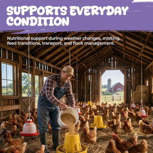 Chicken Probiotics Powder for Chickens, Ducks & Poultry, Digestive Support | Prebiotic & Probiotic Supplement for Digestive Health, Gut Balance, Feed Utilization & Daily Flock Wellness, 60 g