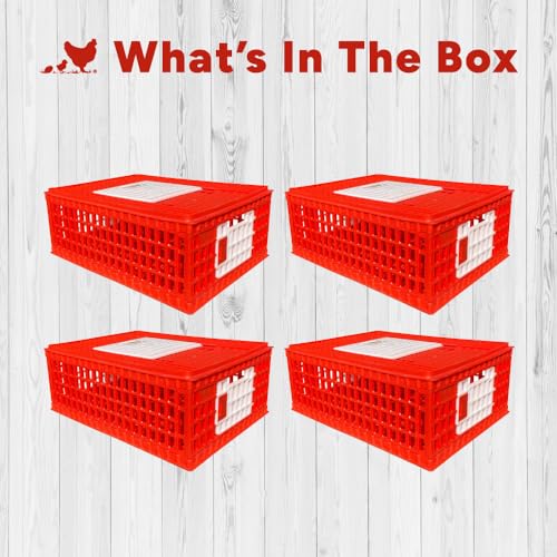 RentACoop Stackable Poultry Carrier Crate (Pack of 4) - size: Pack of 4, 29.0"L x 22.0"W x 12.0"H
